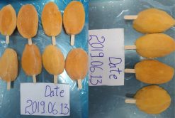 Frozen Mango After IQF from Vietnam – Agrifood Link VN