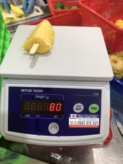 Frozen Pineapple Weight Verification from Vietnam – Agrifood Link VN