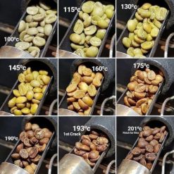 Roasted Arabica Coffee Beans Color Comparison – Vietnam Agrifood Link VN