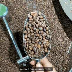 Specialty Coffee Retail Packing from Vietnam – Agrifood Link VN