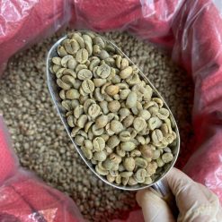 Arabica Coffee Beans Packing Process – Vietnam Agrifood Link VN