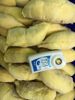 Frozen Durian Brix Testing from Vietnam – Agrifood Link VN