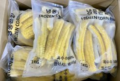 Frozen Sweet Corn Packing 2 in Vietnam – Agrifood Link VN