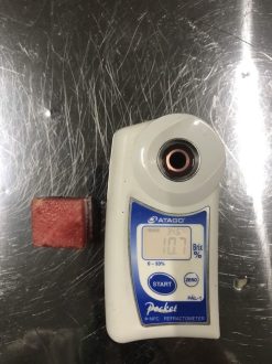 Frozen Water Melon Brix Testing Vietnam – Agrifood Link VN