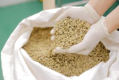 Robusta Coffee Beans Packing in Vietnam – Agrifood Link VN