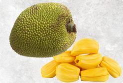 Premium Frozen Jackfruit IQF from Vietnam – Agrifood Link VN