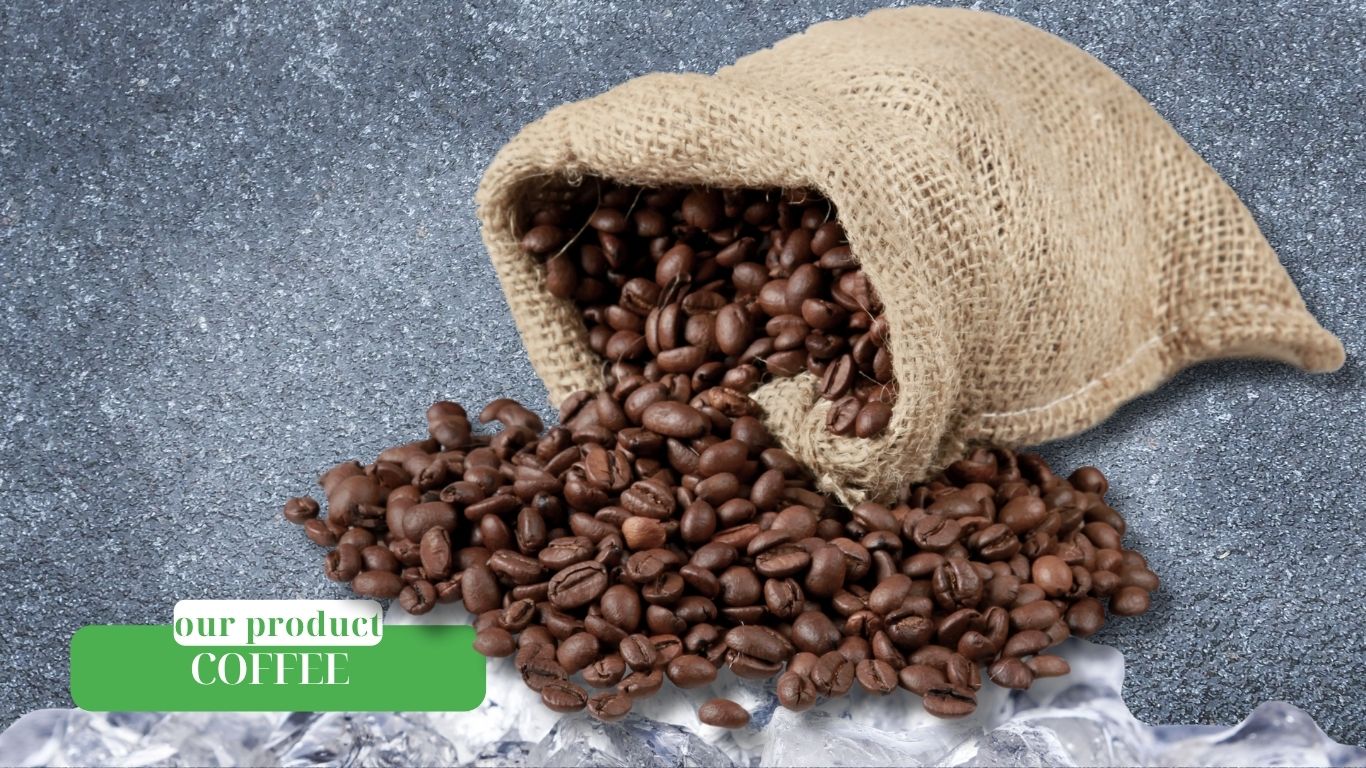 Premium Coffee Beans from Vietnam – Robusta, Arabica & Excelsa by Agrifood Link VN