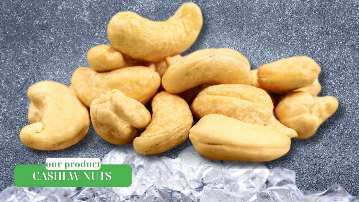 Premium Cashew Nuts Raw Kernel and Roasted from Vietnam – Agrifood Link VN