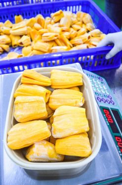 Workers Processing Frozen Jackfruit – Vietnam | Agrifood Link VN