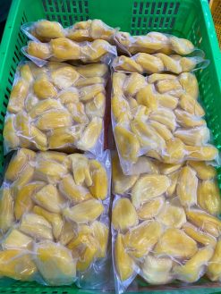 Frozen Jackfruit Before IQF Process – Vietnam | Agrifood Link VN