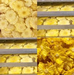 Soft Dried Pineapple Packing Process – Vietnam Agrifood Link VN