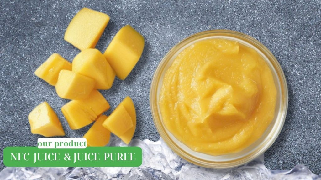 NFC Juices & Juice Purees from Vietnam – Premium Pineapple & Soursop