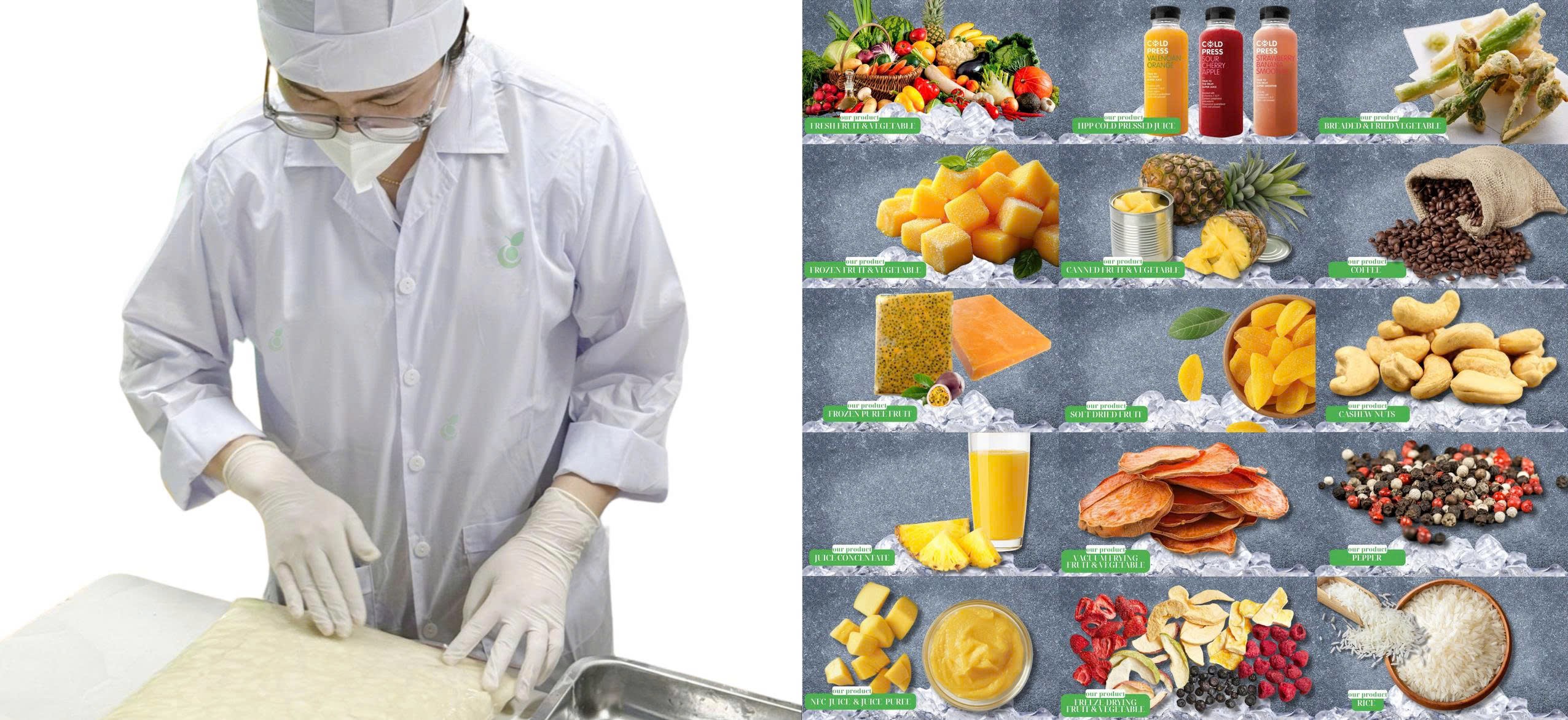 High-quality Vietnam agricultural products supplier and quality control partner – trusted exporter of fresh and processed goods